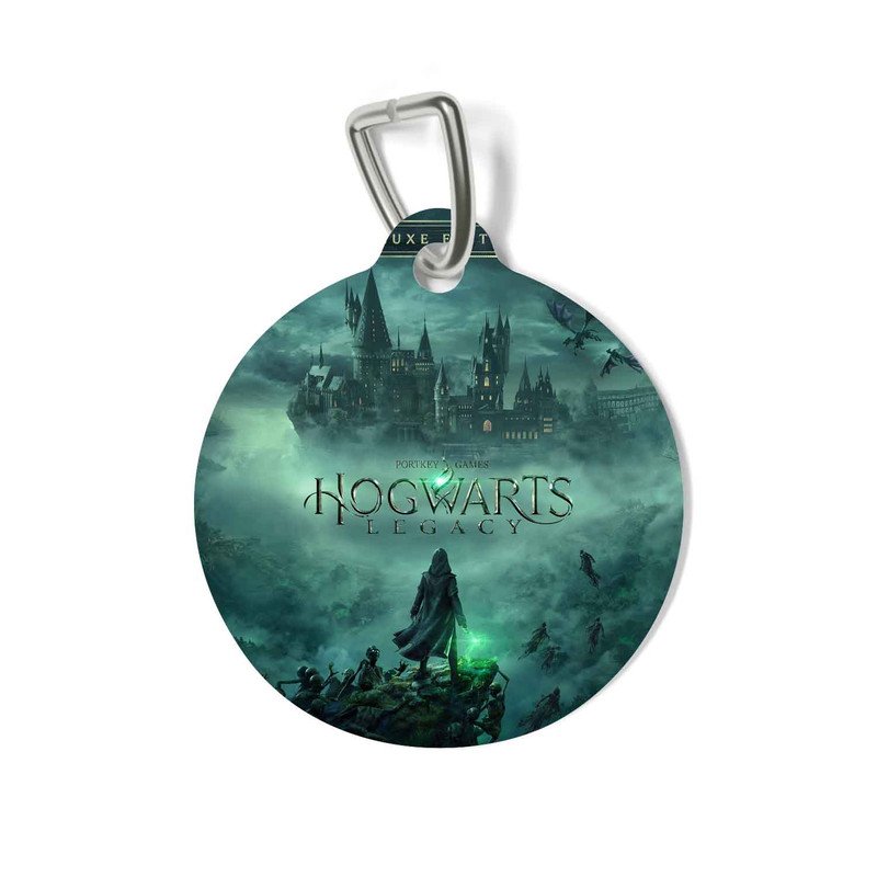 Hogwarts Legacy Game 12