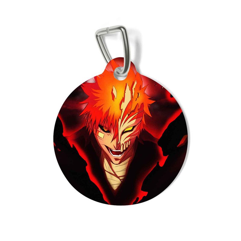 Ichigo Kurosaki Bleach 12